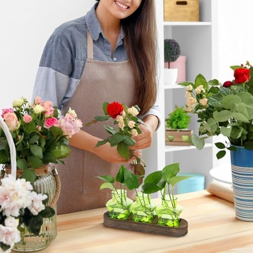 XXXFLOWER Plant Propagation Station with Wooden Stand 3 Green Star Jars - Image 5