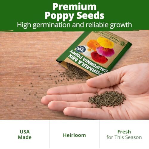 HOME GROWN Poppy Seeds, Formula Mix, 1,000 Seeds, Eschscholzia californica - Image 7