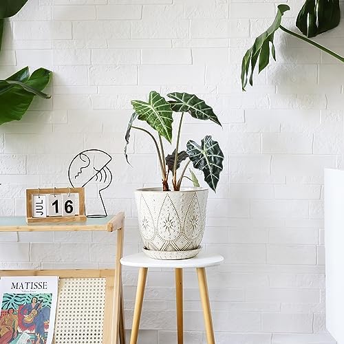 Gepege 10 Inch Ceramic Plant Pot for Indoor Plants with Drainage & Saucer - Image 4