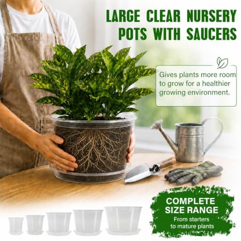 MIXC 12/10/8/6/5 Inch 20 Pack Clear Nursery Pots with Drainage & Sacuer - Image 6