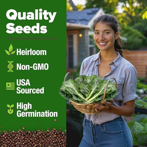 HOME GROWN Vates Collard Green Seeds, 300+ Seeds - Image 3