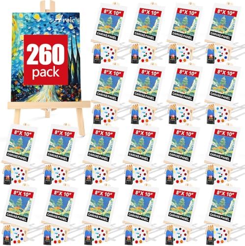 AROIC 260 Pcs Easel Sets with 20 Easels, 200 Brushes, 20 Canvas, 20 Palette by AROIC
