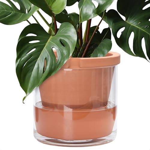 D'vine Dev Self Watering Terracotta Planter Pot, 10 in, 37-X-D-1 by DvineDevPlanterPotsandStand