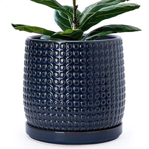 D'vine Dev Beaded Ceramic Pot with Saucer, 10 in, Midnight Blue, 27-C-P-3 by DvineDevPlanterPotsandStand
