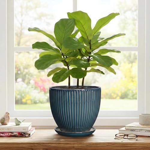 Ceramic Plant Pots, 8 Inch Planters for Indoor Plants, Decorative Flower Pots with Drainage Hole and Saucer, Round Planter, Indoor Flower Pot, Modern Home Decor, Plant Lover Gifts, Retro Blue - Image 7