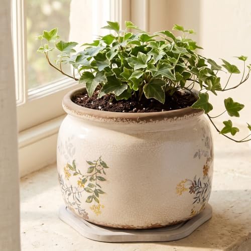 Rustic Cottage Ceramic Plant Pot with Decorative Saucer, Plant Lover Gifts - Image 6