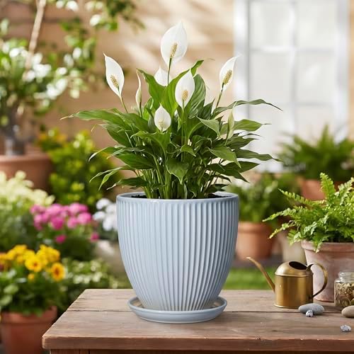 Ceramic Flower Pots, 6 Inch Plant Pot for Indoor Plants, Modern Ceramic Planter with Drainage Hole and Saucer, Small Orchid Pots, Home Decor, Gifts for Plant Lovers Women Men, Light Blue - Image 4