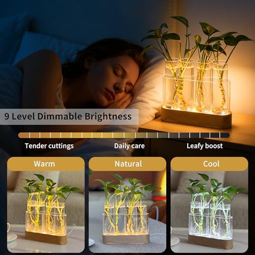 Plant Propagation Station with LED Grow Lights, 4 Glass Tubes & Oak Stand - Image 2