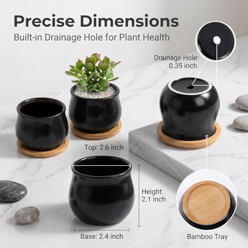 SHECIPIN 8 Pack Succulent Plant Pot, Matte Black Mini 2.6 inch Ceramic Flower Planter Pot with Bamboo Tray, Small Pots for Plants, Plants Not Included - Image 6