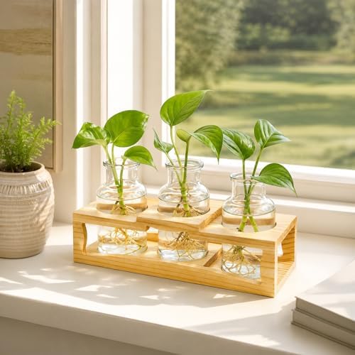 Eorbow Plant Propagation Station, Desktop Plant Terrarium with Wood Stand, Retro Propagation Vases Glass Planters for Indoor, Hydroponic Plant Propagating Jars for Home Office Decor, Plant Lover Gifts - Image 5