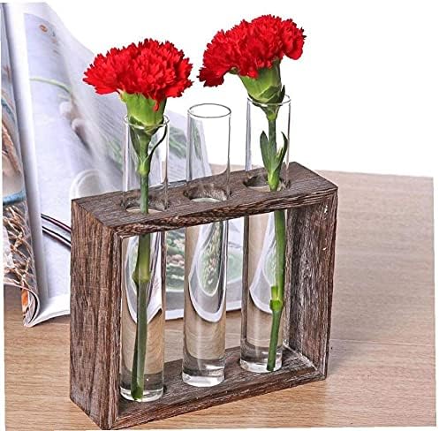 Tube Shape Glass Vase with 3 or 5 Holes Wood Stand Decoration Flower Vontainer for Hydroponics Plant Transparent Flower Arrangement Vase-3 Tube - Image 3