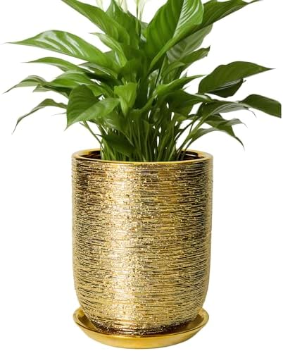 Indoor Plant Pot 8 Inch - Ceramic Planter for Indoor Outdoor Flowers, Round Modern Flower Pot with Drainage Hole and Saucer, Gifts for Plants Lovers, Garden Room Decor, Gold by SUNPOTFOR