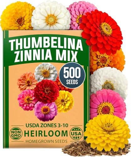 HOME GROWN Zinnia Seeds, Thumbelina, 500 Seeds, Zinnia elegans by HOMEGROWN