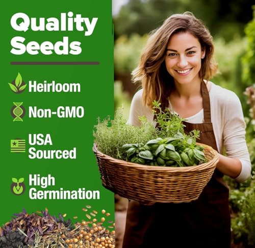 HOME GROWN 25 Herb Variety Pack 8,700+ Seeds Extra Large Culinary Kit - Image 2