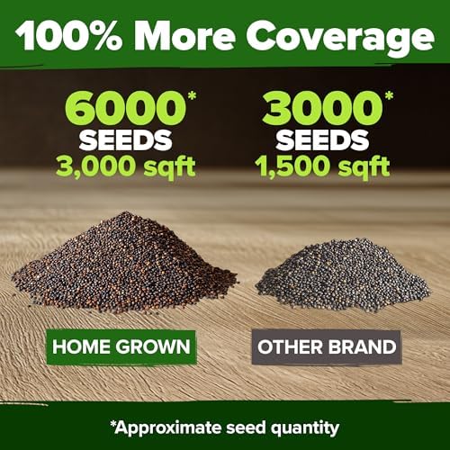 HOME GROWN American Legion Red Poppy Seeds, 6,000 Seeds, Papaver rhoeas - Image 3