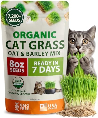 HOME GROWN Organic Cat Grass Seeds Pack 8 oz 7200 Oat & Barley Grass Seeds by HOMEGROWN