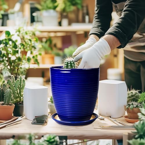 Round Ceramic Planter - Modern 8 Inch Plant Pot with Drainage Hole and Tray for Flower Indoor Outdoor Garden Decor Blue - Image 2