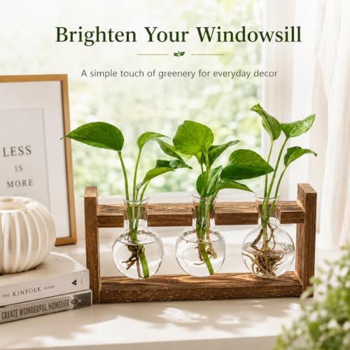 Glass Plant Propagation Station, 3 Glass Bulb Vases - Image 6