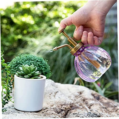 Mini Plant Mister Vintage Style Decorative Water Spray Bottle with Top Pump Small Watering Can for Indoor Potted Plants 1Pc Blue,Vintage Glass Plant Atomizer - Image 6