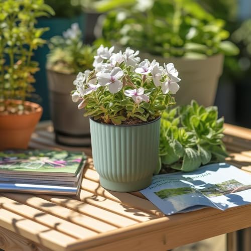 T4U Self Watering Pots for Indoor Plants, 4 Inch 6 Pack Planter Green - Image 6