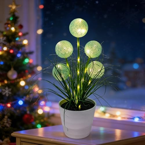 Artificial Green Spherical Grass LED Lamp, Night Light for Home Shop Cafe Decor, Gifts for Women Mom Grandma Girlfriend on Birthday Christmas Valentines Mothers Day by Hibeauti