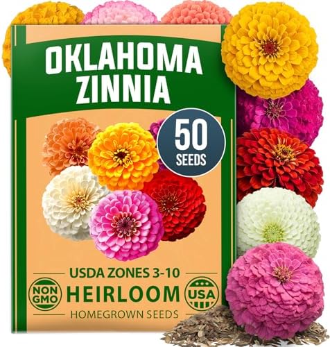 HOME GROWN Zinnia Seeds, Oklahoma, 50 Seeds, Zinnia elegans by HOMEGROWN