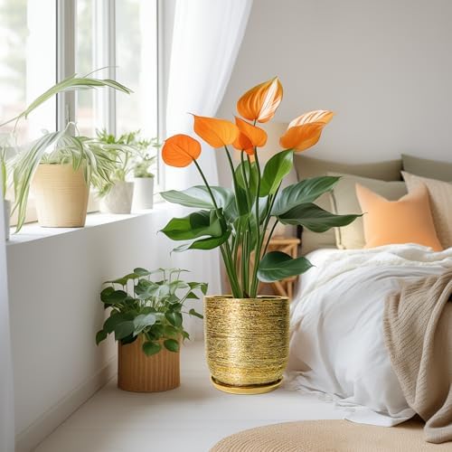 Ceramic Flower Pot for Indoor Plants - 10 Inch Plant Pot with Drainage Hole and Saucer, Decorative Round Outdoor Indoor Planter, Housewarming Gifts, Home Garden Decor, Gold - Image 2