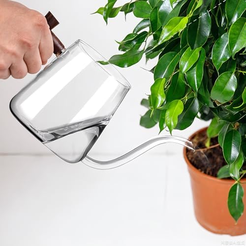 Watering Can Indoor Plants, 27 OZ Glass Watering Can, Long Curved Spout by FrutPunch
