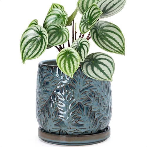 D'vine Dev Embossed Leaves Ceramic Planter, 6 in, Ocean Teal, 27-A-X-8 by DvineDevPlanterPotsandStand