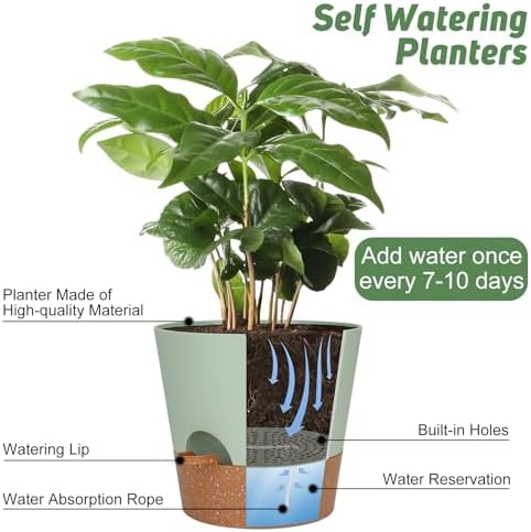 YNNICO 10-Inch Plant Pots, Self-Watering Planters with Drainage Holes & Saucers for Indoor and Outdoor Plants (2-Pack, Green) - Image 5
