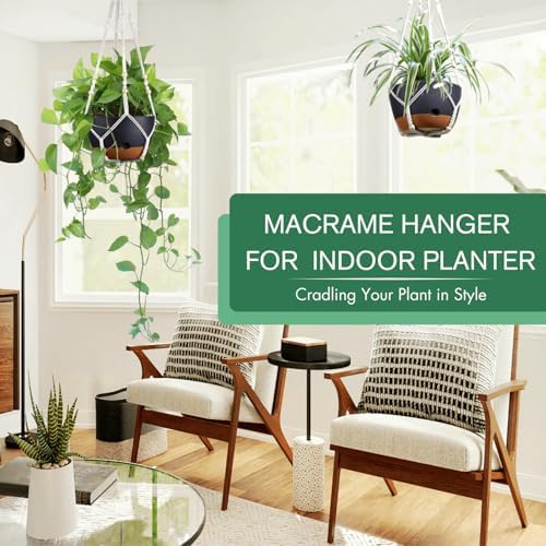 montresor 8 Inch Plant Hanging Basket for Indoor/Outdoor, Self Watering - Image 2