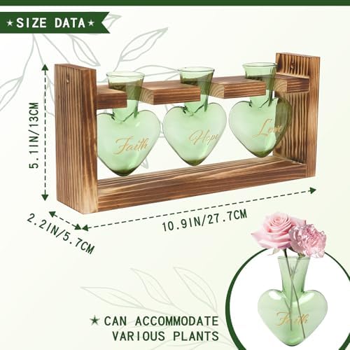 Plant Terrarium Propagation Stations Hydroponics - Image 4