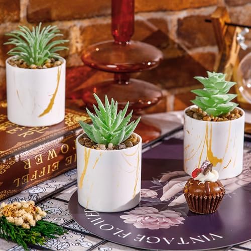 Der Rose 4 Pack Mini Fake Succulents in Pots for Office Desk Accessories - Image 6