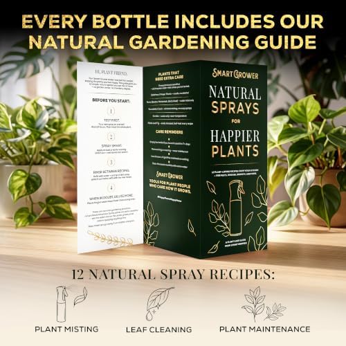 Plant Mister Spray Bottle for Indoor Plants With Plant Care Guide - Image 5