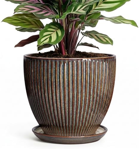 6 Inch Plant Pot, Ceramic Pots for Plants with Drainage Hole and Saucer, Decorative Planters for Indoor Plants, Small Flower Pots, Home Office Room Decor, Gifts for Plant Lovers, Retro Brown by Unknown