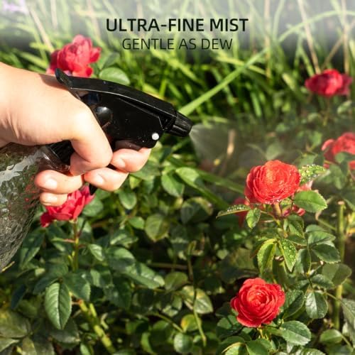 Glass Mister Spray Bottle for Inside 13oz, Fine Mist Refillable Leak Proof - Image 6