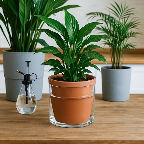 D'vine Dev Self Watering Terracotta Planter Pot, 6 in, 2-Pack, 37-Y-B-1 - Image 2