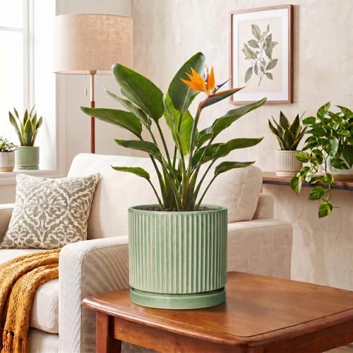 Ceramic Planter, 8 Inch Plant Pots, Round Flower Pot, Green - Image 6