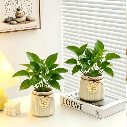 Pastel Ceramic Succulent Pots, Small Mini Flower Planter Pots with Jute Tag, Decorative Indoor Cactus Plant Container for Home Windowsill Desktop Decor (Beige) - Image 5