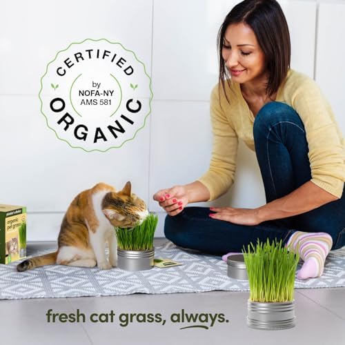 Cat Grass for Indoor Cats Kit - 3 Complete Growing Organic Planter Kits - Image 3