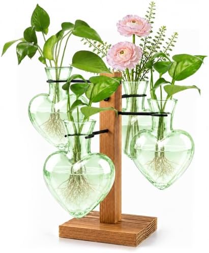 Plant Terrarium Propagation Station with 4 Heart Glass Vases - Green by Lovin+Product