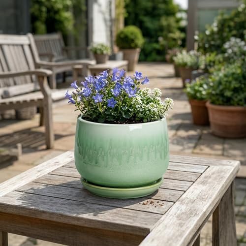 Ceramic Pots for Plants - 7 Inch Planters for Indoor Plants, Round Ceramic Plant Pot with Drainage Hole and Saucer, Decorative Planters, Rustic Home Decor, Plant Gifts for Women, Green - Image 4