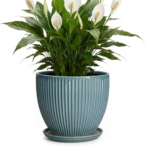 Ceramic Planter, 8 Inch Plant Pot Indoor with Drainage Hole and Saucer, Decorative Planters for Indoor Plants, Modern Flower Pots, Round Planter, Room Decor, Gifts for Plant Lovers, Glaze Blue by Unknown