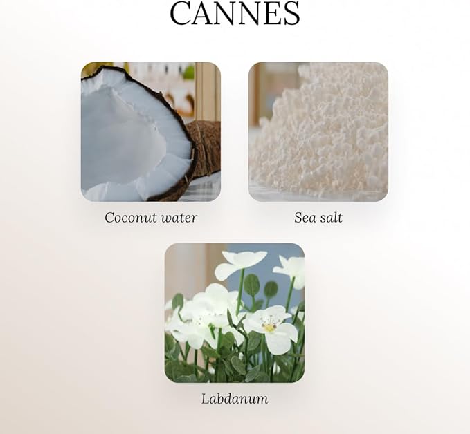 A U R A - Cannes Fragrance Oil for Waterless Scent Diffuser - Inspired by D.ior-Eden-ROC | (1.7 fl oz, 50 ml) Pure Essential Oil Blends for Aromatherapy Diffuser & Hotel Collection Oil Diffuser