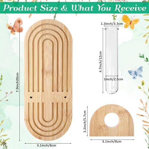 Beeveer 4 Sets Hanging Plant Propagation Stations Bamboo Wood Wall Mounted Test Tube Vase Rustic Decorative Glass Planter Holder Gift for Women Plant Lover Hydroponic Flowers Home and Office Decor - Image 2