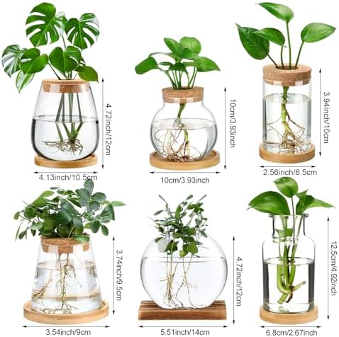 Honeydak 6 Pcs Plants Propagation Stations Desktop Glass Propagation Vases - Image 5