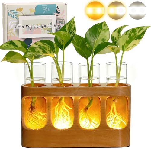 Plant Propagation Station with Wood Stand, 3-Mode 9-Level Adjustable Lights by MajhullaSuppliers