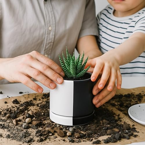 D'vine Dev 3.5 Inch Ceramic Planter Pot, Black White Split, 94-O-A-0 - Image 5