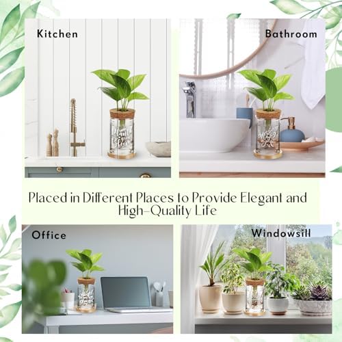 Baderke 12 Pack Plant Propagation Jars Cork Lids Bamboo Stand,Awesome - Image 5