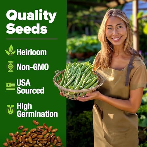 HOME GROWN Contender Bush Bean Seeds, 28+ Seeds, Phaseolus vulgaris - Image 3